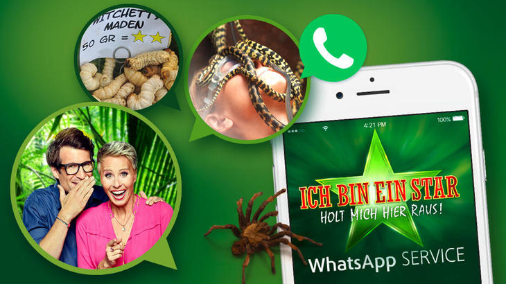 Dschungelcamp 2018: Die wichtigsten Dschungel-News per WhatsApp direkt auf dein Smartphone