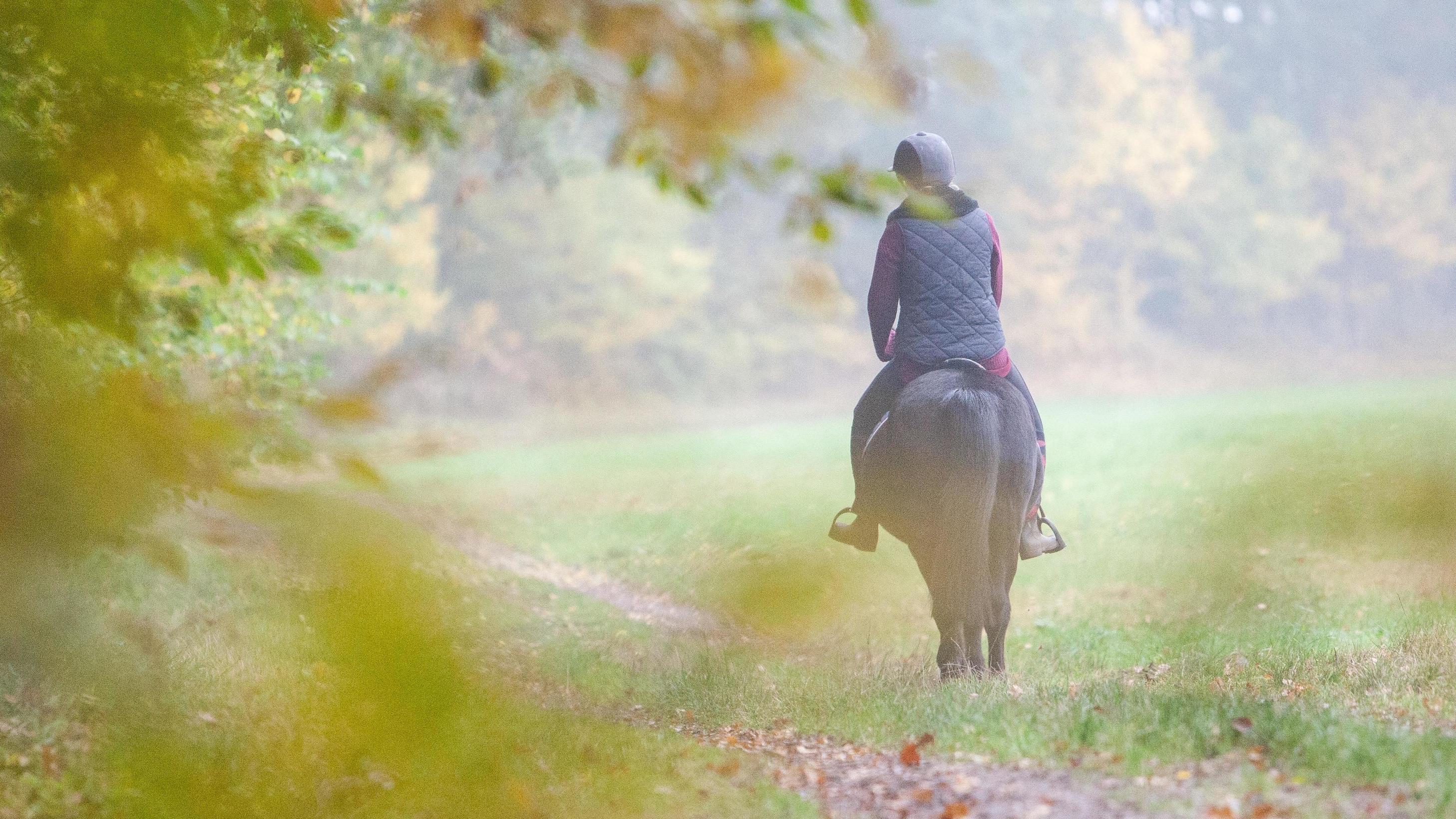 Wie Viel Kalorien Verbrennt Man Beim Reiten www.rtl.de