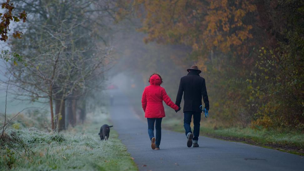 Eine Frau und ein Mann gehen mit ihrem Hund spazieren.