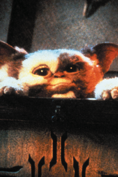 gremlins-kleine-monster.png
