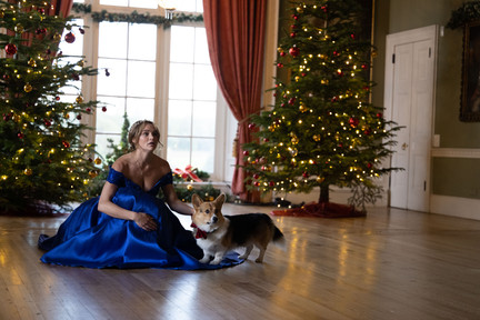 royal-corgi-day1-1229.jpeg