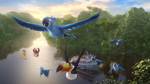 rio-2.jpg