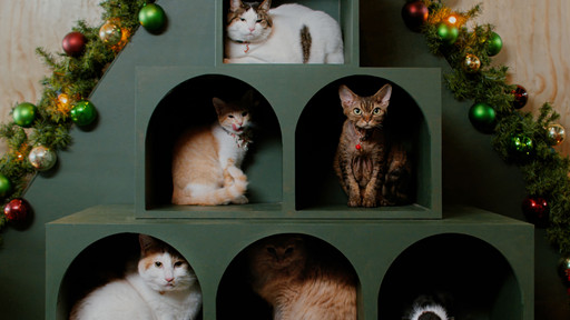 christmas-at-the-catnip-cafe.png