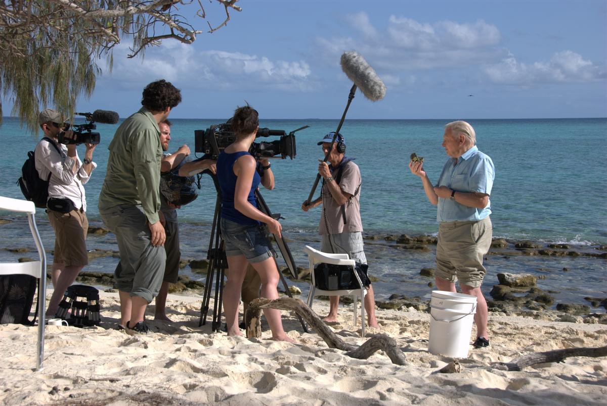 david-attenborough-mit-crew.jpg