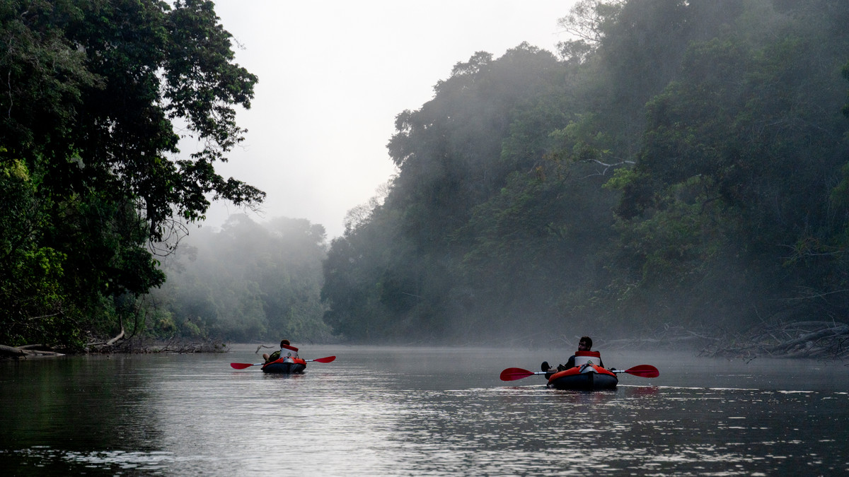 ash-dykes-faehrt-kanu-im-amazonas.png