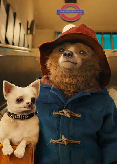 paddington-hk.png