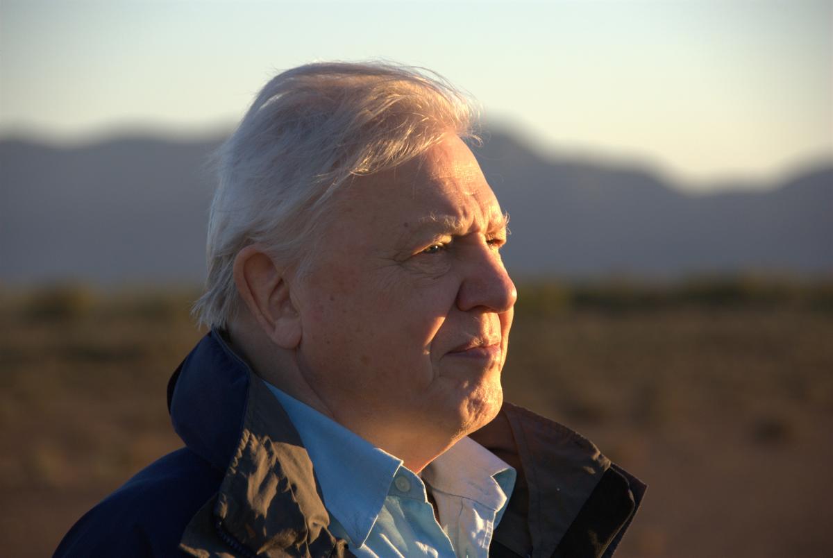 100-jahre-david-attenborough.jpg