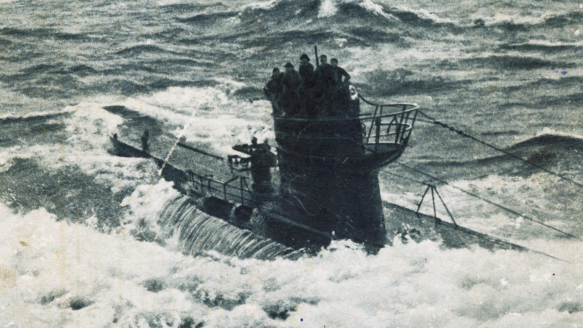 8f4c6.jpg