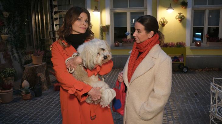 Folge 7323