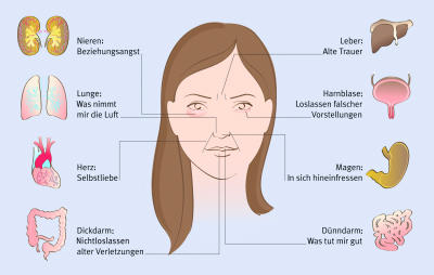 Gesichtsmerkmale Bedeutung Gesichtsmerkmale Bedeutung