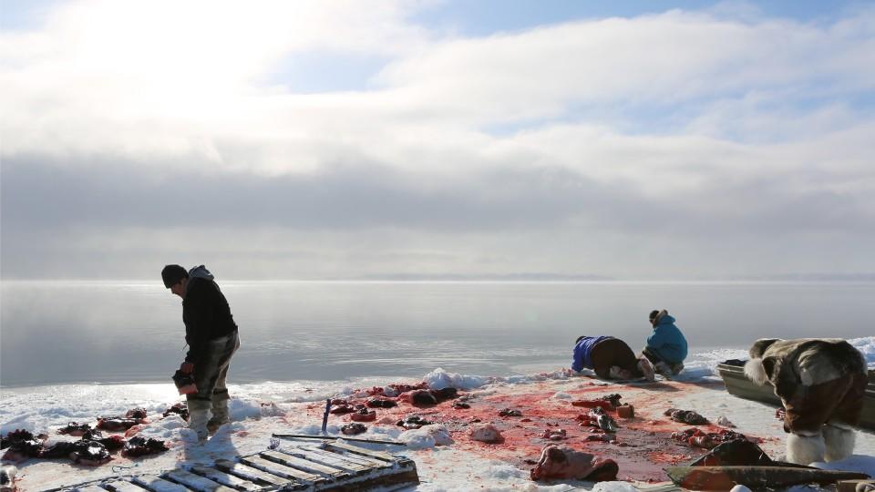 Inuit - Ein Volk setzt sich zur Wehr
