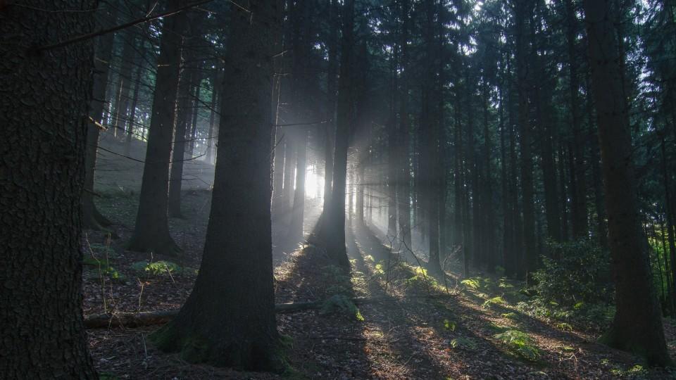 Wildes Deutschland - Der Teutoburger Wald