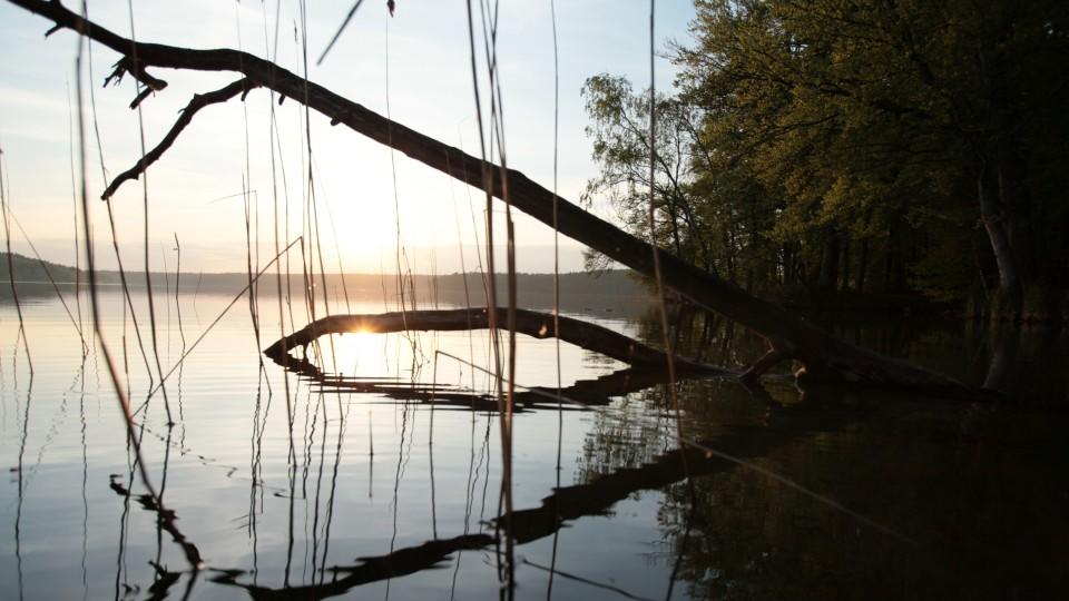 Die Lauenburgischen Seen