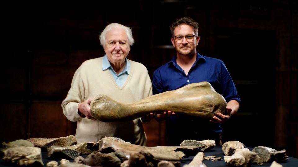 David Attenborough und der Mammut-Friedhof
