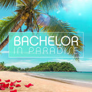 Bachelor In Paradise Sendung Verpasst