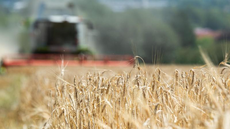 Ähnliches Foto
