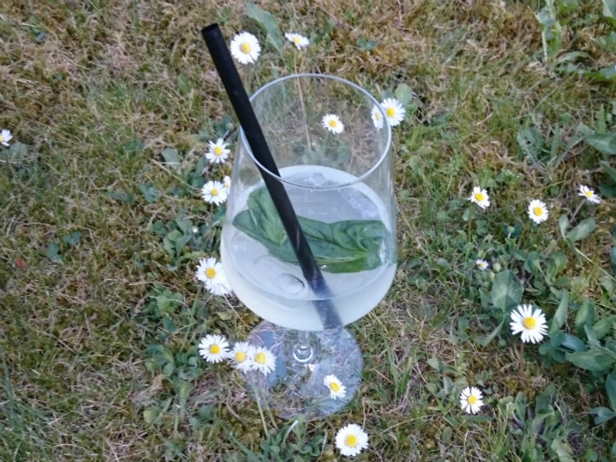Limontonica
