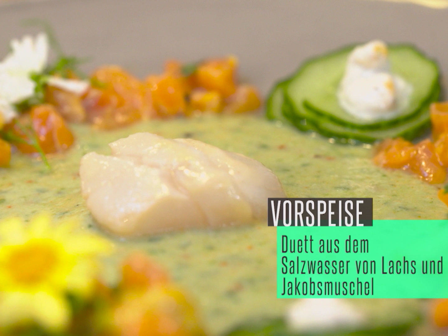 Duett aus dem Salzwasser: Lachstatar und Jakobsmuschel mit Gurke und Ingwer