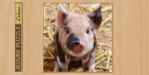 Jigsaw Puzzle Deluxe-screenshot