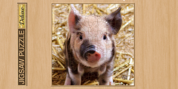 Jigsaw Puzzle Deluxe-screenshot
