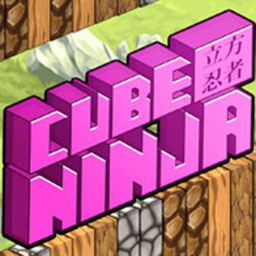 Cube Ninja