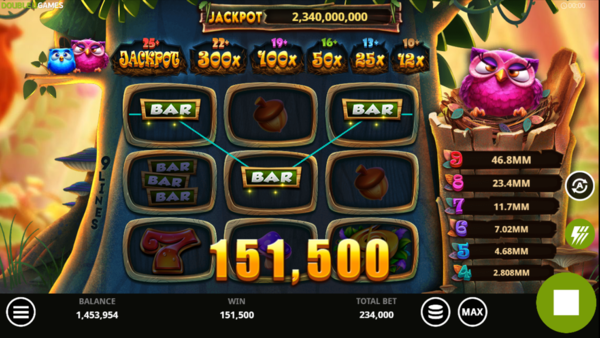 Lucky Hoot Hoot-screenshot