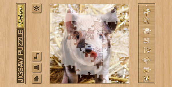 Jigsaw Puzzle Deluxe-screenshot