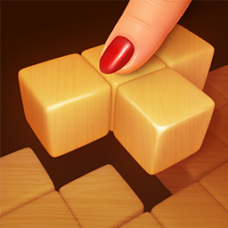 Wood Block Puzzle 3