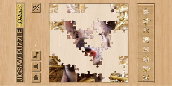 Jigsaw Puzzle Deluxe-screenshot