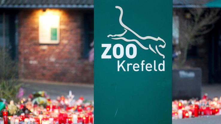 Alles Zum Thema Zoo Krefeld | RTL.de