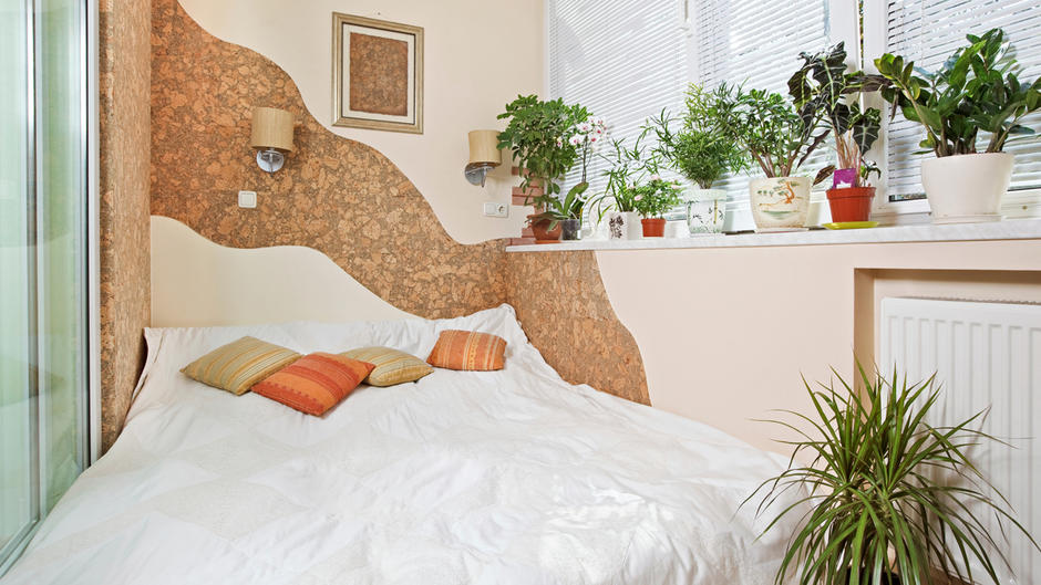 gute schlafzimmer pflanzen, mit diesen zimmerpflanzen schlafen sie richtig gut, Design ideen