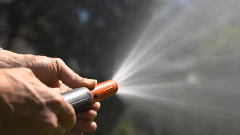 wasser sparen im garten tipps sommer, richtig gießen bei hitze: mit diesen drei tipps kommen ihre pflanzen, Design ideen