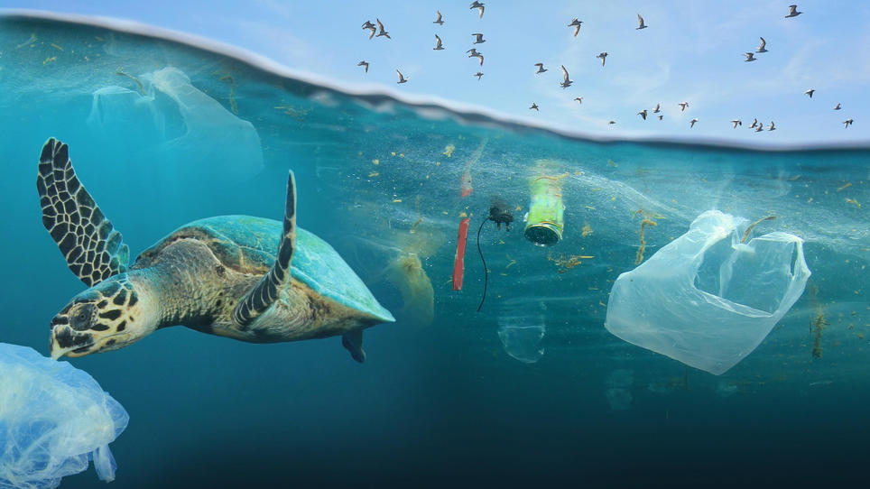 Die Verschmutzung der Ozeane: Im Plastik versunken | RTL.de