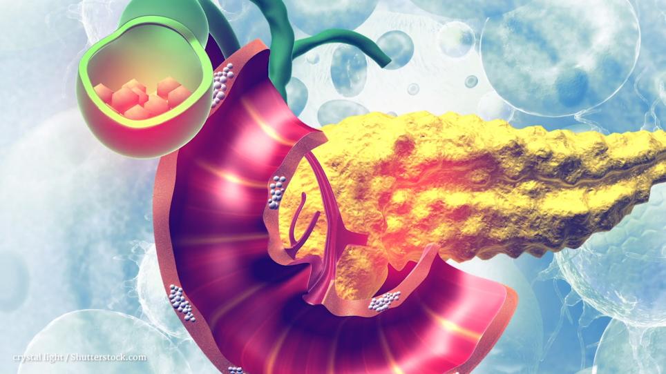 Gesundheitslexikon Welche Funktion hat die Bauchspeicheldrüse? RTL.de Gesundheitslexikon Welche Funktion hat die Bauchspeicheldrüse? RTL.de