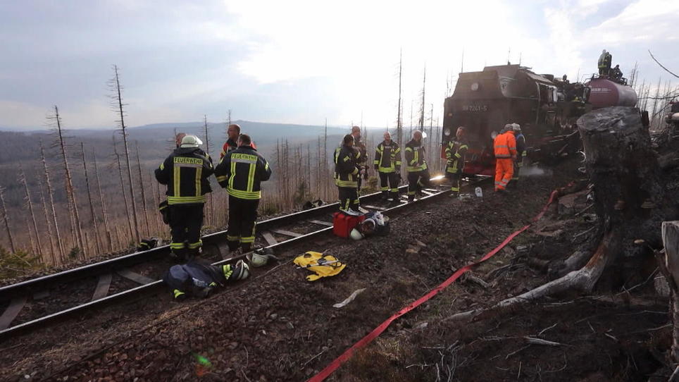 Großbrand Im Nationalpark Harz: Menschen Müssen über Stunden Auf ...