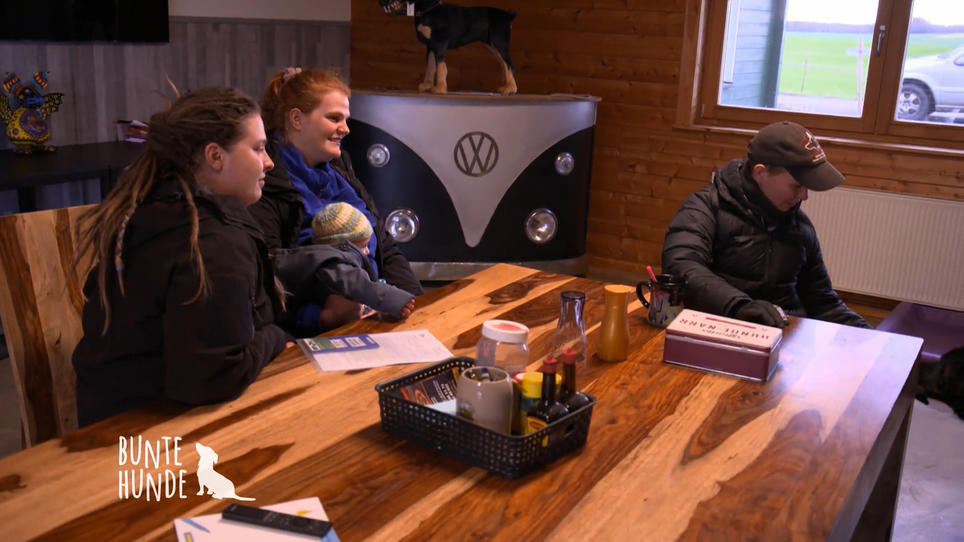 Neuzugang Hund Heinrich verletzt sich selbst RTL.de