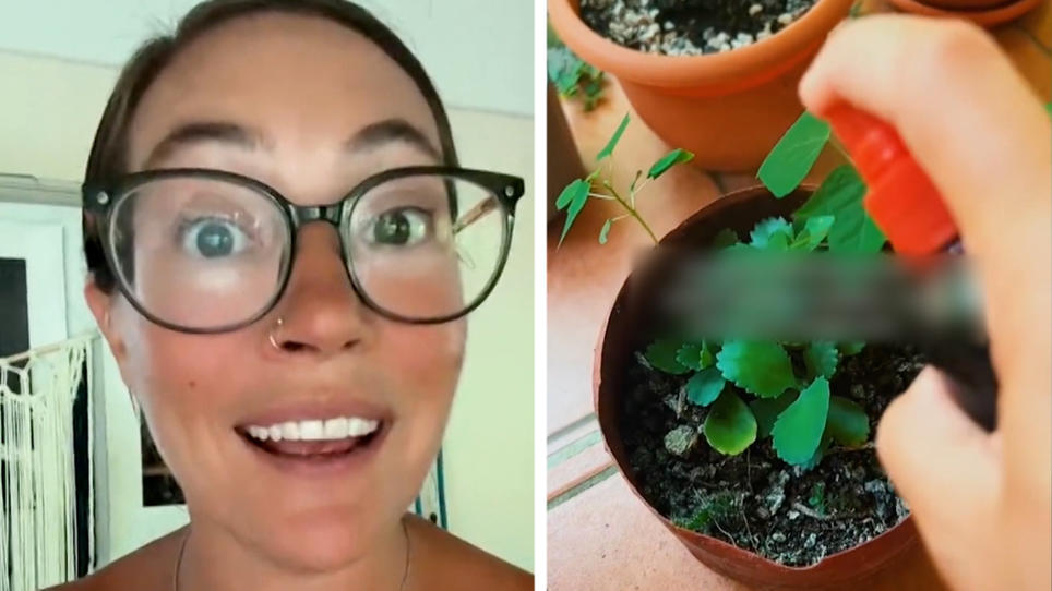 Periode als Dnger?!: Frau giet Blumen mit eigenem Menstruationsblut