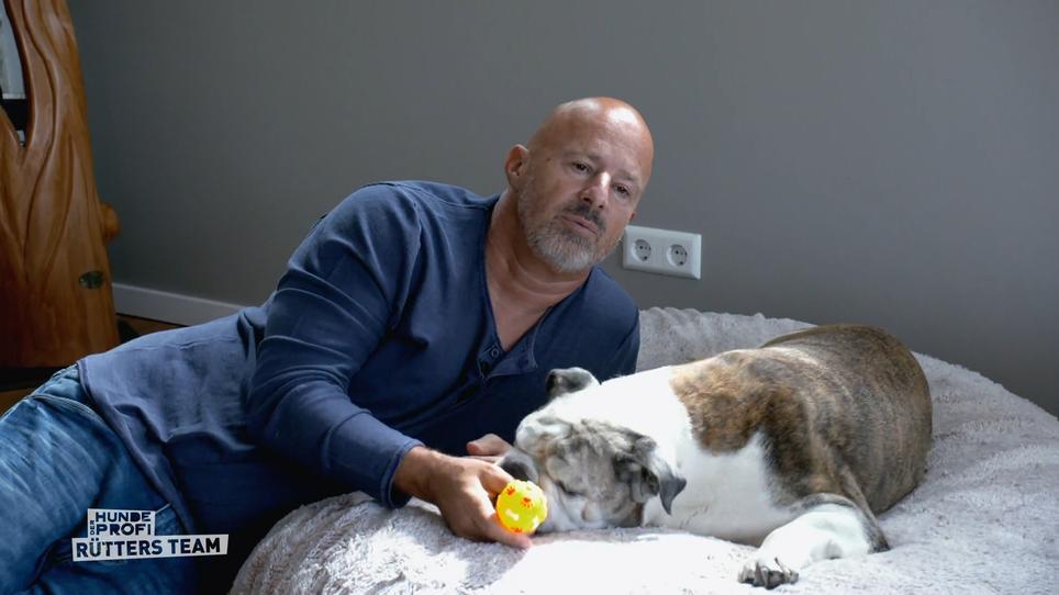 Detlef Steves Seine Bulldogge KaiUwe wird älter RTL.de