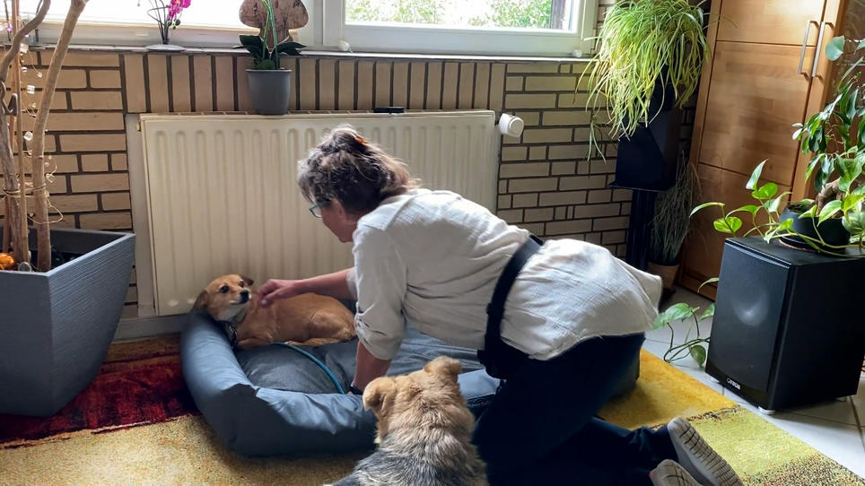 Großer Fortschritt Ängstliche Sophie lässt sich anfassen RTL.de