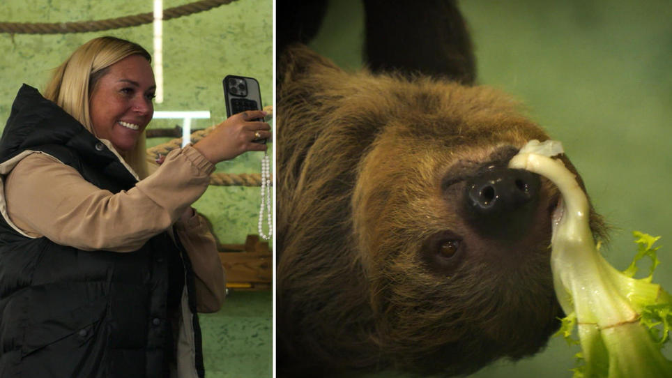 Ein Faultier zum Geburtstag?: Ecclestone macht's vor - Julia Holz testet aus | RTL.de